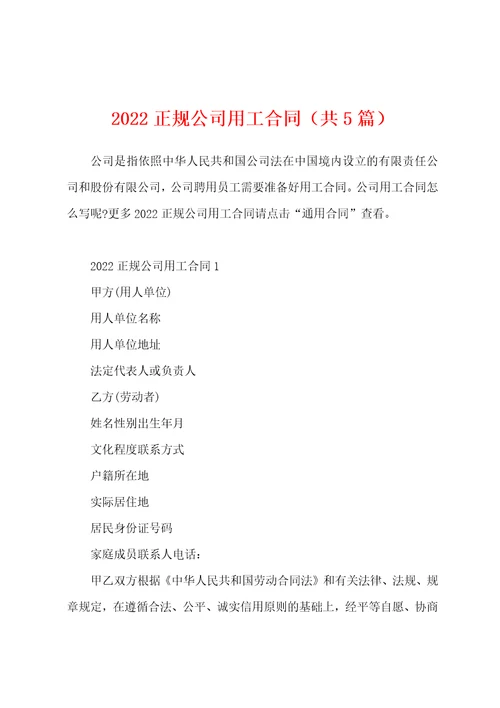 2022正规公司用工合同共5篇