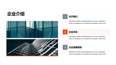 单色扁平3项企业介绍