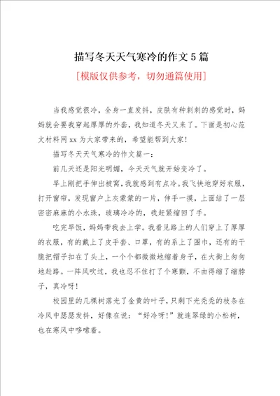 描写冬天天气寒冷的作文5篇