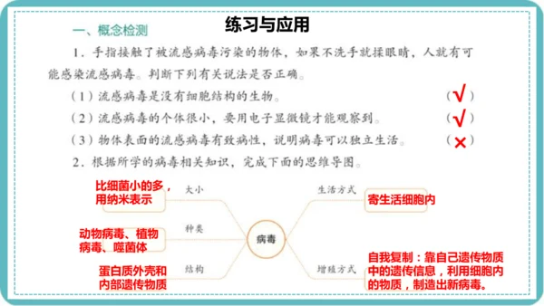 人教版生物七年级上册2.3.4《病毒》课件(共19张PPT)+视频素材