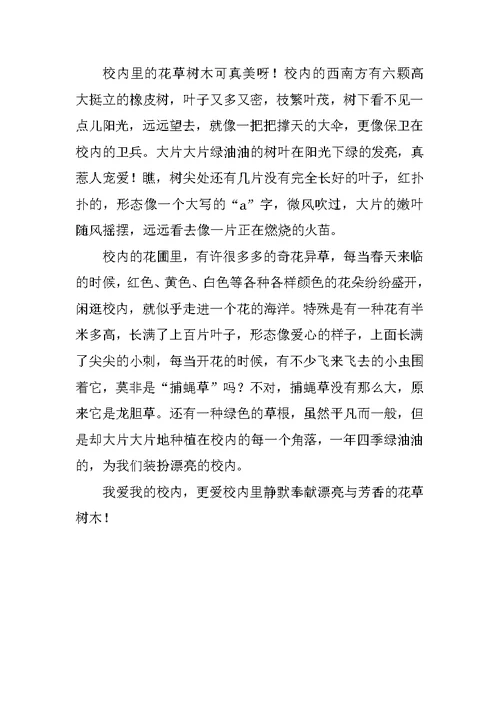 校园的树作文300字