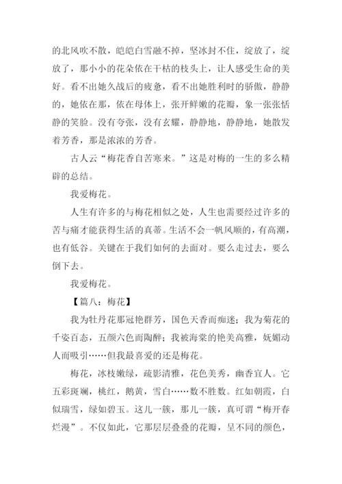 梅花的作文600字.docx
