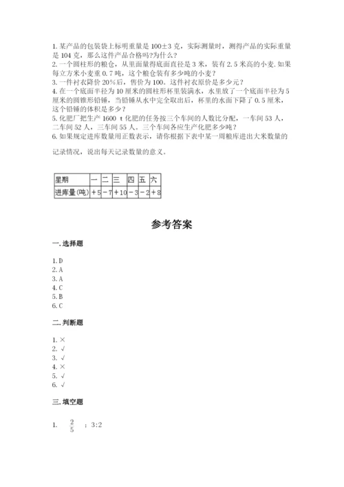 嘉善县六年级下册数学期末测试卷审定版.docx