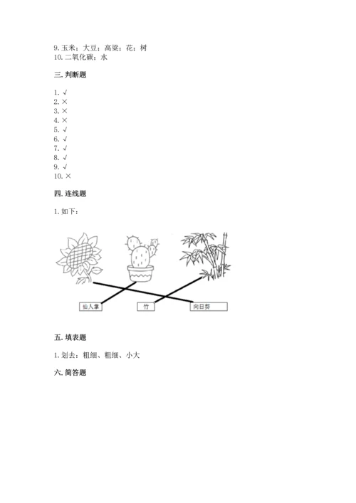 教科版小学一年级上册科学期末测试卷【含答案】.docx