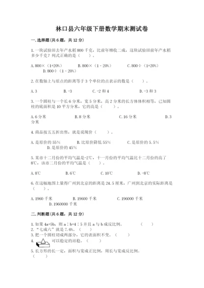 林口县六年级下册数学期末测试卷精选.docx