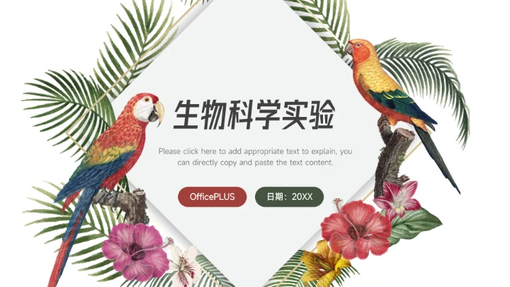 绿色插画风生物科学实验教学PPT模板