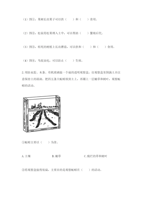 教科版小学二年级上册科学期末测试卷及参考答案（轻巧夺冠）.docx