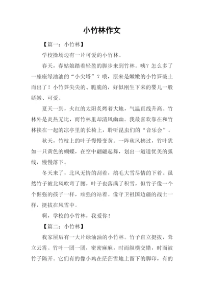 小竹林作文0.docx