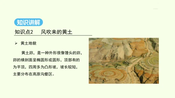6.3 世界最大的黄土堆积区——黄土高原 第1课时 文明的摇篮 风吹来的黄土（课件31张）- 人教版