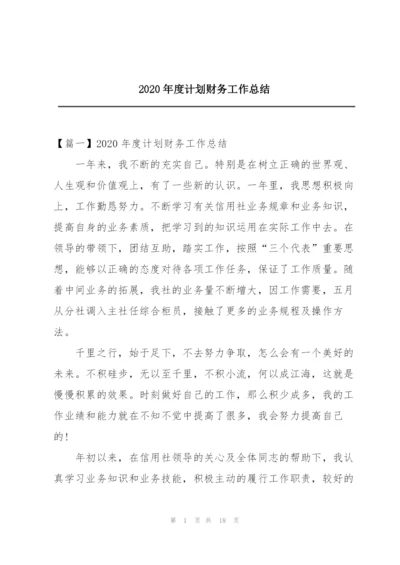 2020年度计划财务工作总结.docx