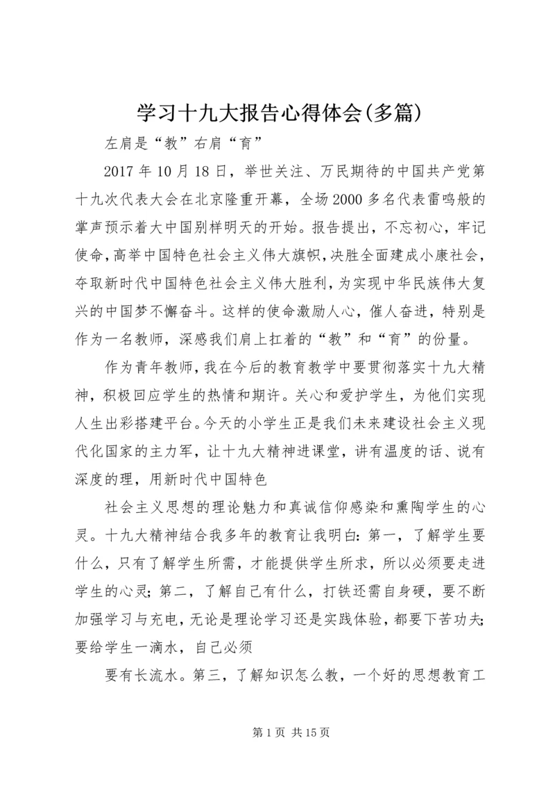 学习十九大报告心得体会(多篇).docx