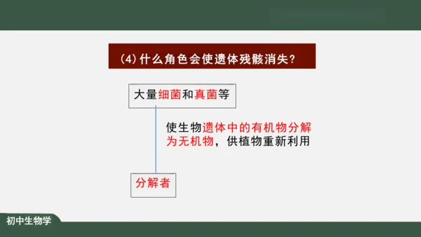 1.2.2 生物与环境组成生态系统 课件（共30张PPT）