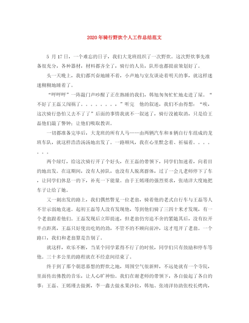 精编之年骑行野炊个人工作总结范文.docx