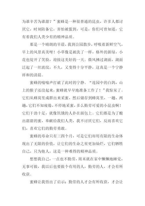 蜜蜂的启示作文.docx