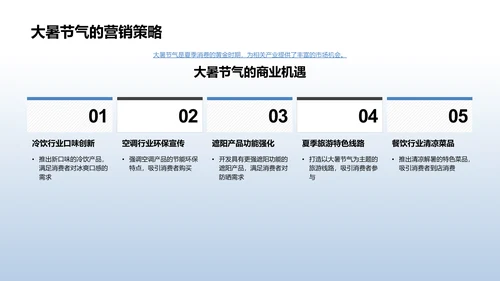 大暑节气营销报告PPT模板