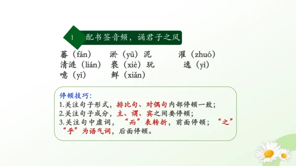 17 短文两篇 爱莲说 课件（共29张PPT）