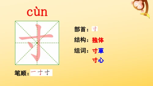11 蟋蟀的住宅  课件