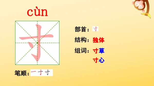 11 蟋蟀的住宅  课件