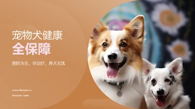 宠物犬健康全保障