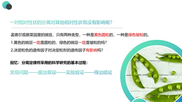 高中生物豌豆杂交实验PPT课件