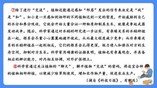 期末专项复习 说明文阅读复习（课件）-2024-2025学年语文五年级上册（统编版）