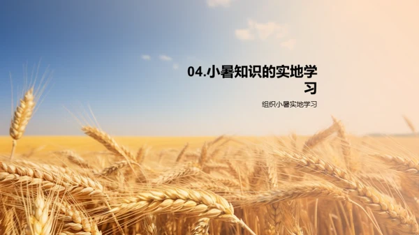 小暑节气教学全解析