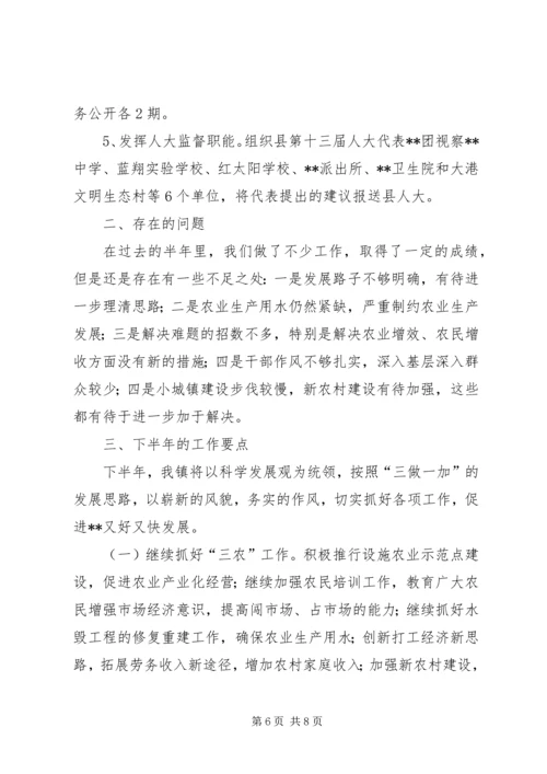 乡镇班子上半年工作要点总结.docx