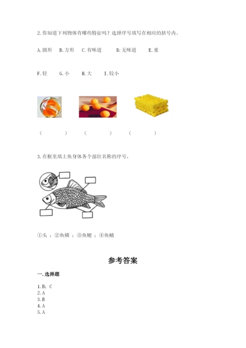 教科版一年级下册科学期末测试卷完整参考答案.docx