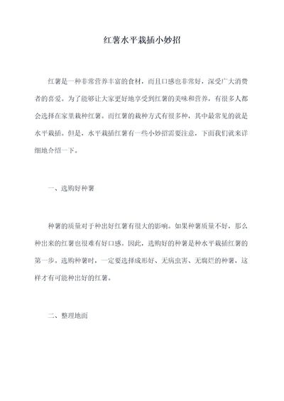 红薯水平栽插小妙招