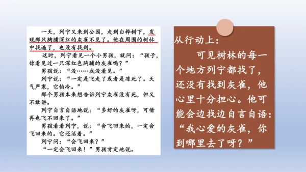 【同步课件】部编版语文三年级上册  25.灰雀（2课时）
