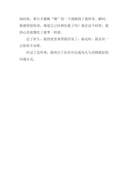 一件事给我的启示作文600字.docx