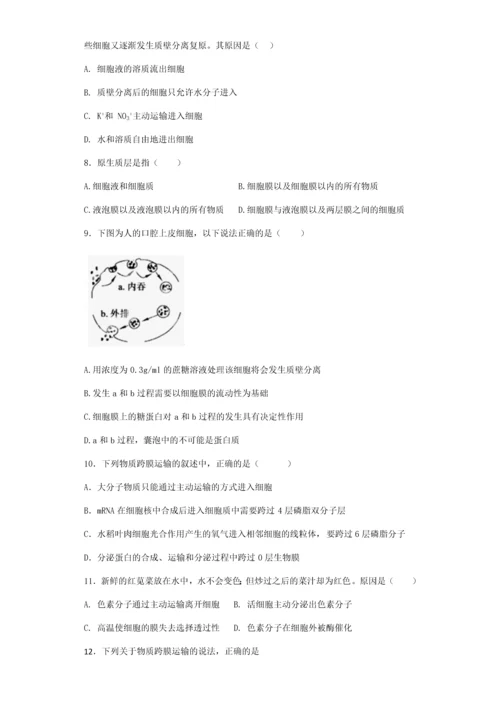 高中生物必修一第四章测试卷.docx