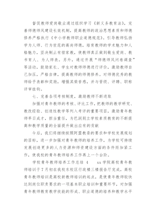 学校青年教师培养工作总结.docx