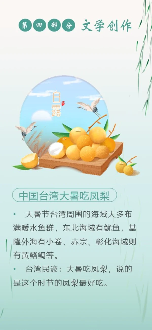 白露节气二十四节气知识手机竖版PPT课件