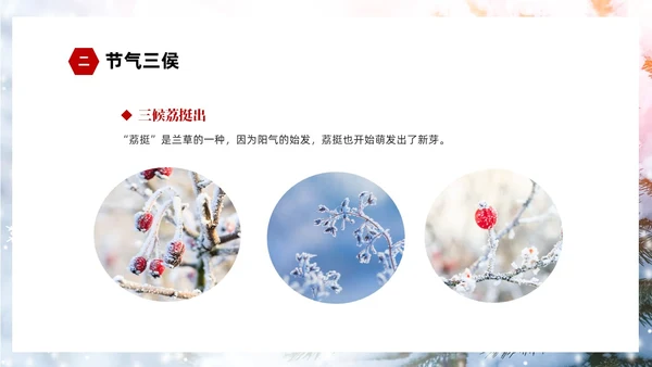 白色简约实拍雪景中国传统节气大雪节气介绍PPT