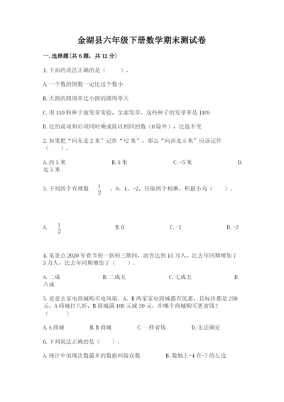 金湖县六年级下册数学期末测试卷（达标题）.docx