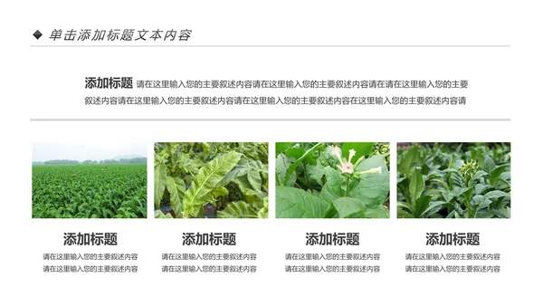 中国人寿保险公司年中工作总结工作计划PPT