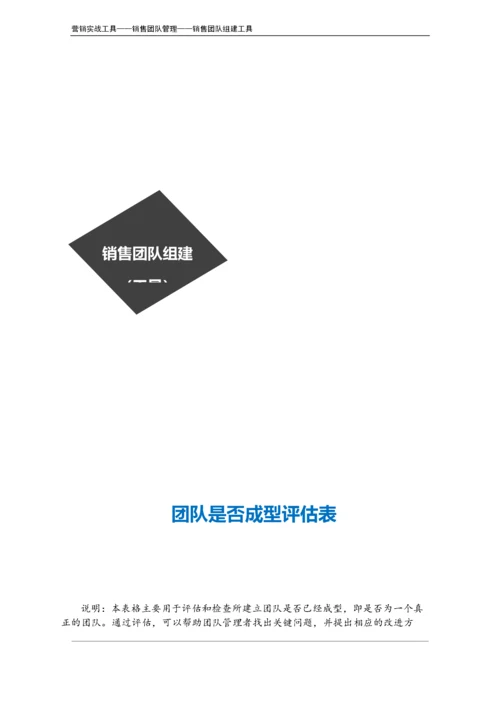 团队是否成型评估表.doc.docx