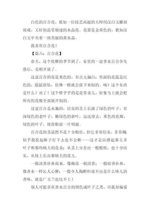 百合花作文400字.docx