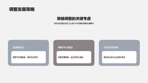 电视业的崭新篇章