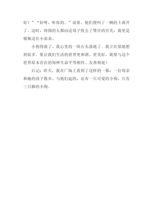 发现友善作文.docx