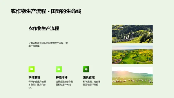 优秀团队年度汇报