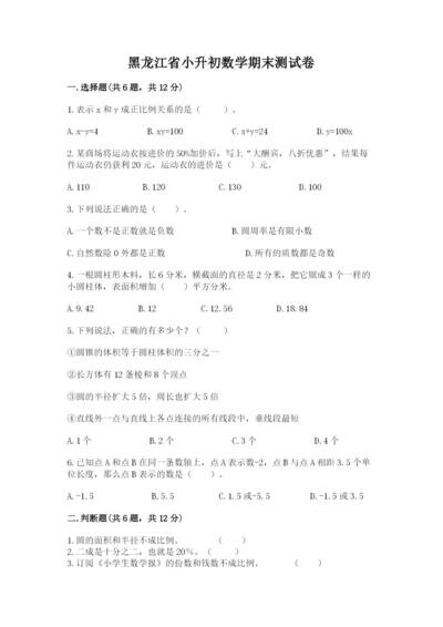 黑龙江省小升初数学期末测试卷（精品）.docx