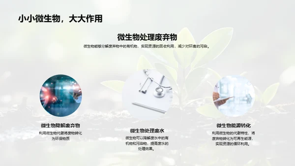 环保中的微生物应用