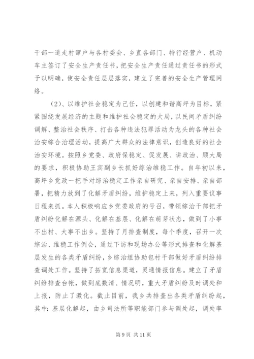 某年到乡镇挂职锻炼的工作总结范文.docx