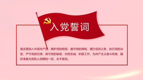 红色党支部党员代表大会工作总结PPT