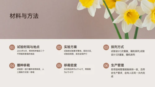 水稻农业植物品种研究和进展通用PPT模板