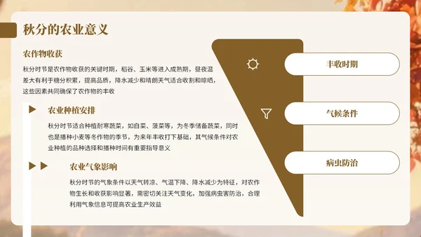 棕色卡通中国风秋分节气宣传知识PPT