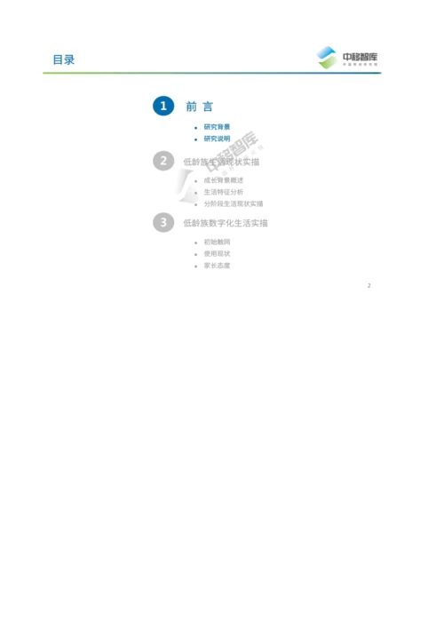 低龄族数字化生活洞察报告.docx