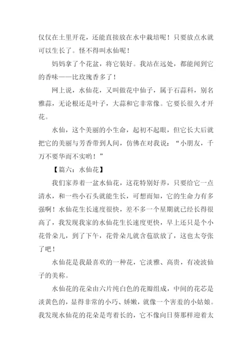 水仙花作文开头.docx